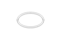 Bague d'étanchéité G DN100 EPDM DIN11851