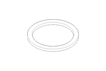 SEAL RING    A21  X26  X1,5 CU