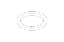 SEALING RING          0-  3/8Z