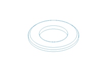 WASHER/RING/DISK