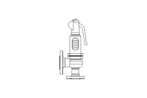 SAFETY VALVE