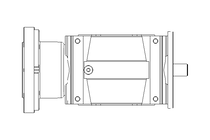 Worm Gear