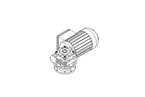 Worm gear motor 0.37kW 100 1/min