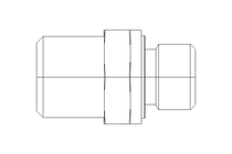 Ввинчиваемый патрубок L 6 G1/8" Niro