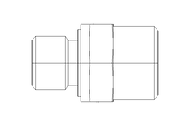 Einschraubstutzen L 12 R1/4" Niro