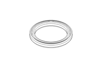 GLYD 环 RG 40x52x5,6 PTFE