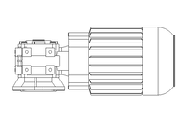 Worm gear motor 0.55kW 74 1/min