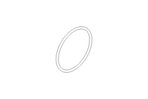 O-Ring 102x5 FKM 75SH