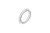 Anello di tenuta Glyd Ring RG 30x37,3