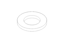 WASHER/RING/DISK