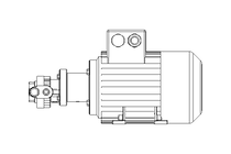 MOTOR OIL PUMP 0.25KW 3P 1400R