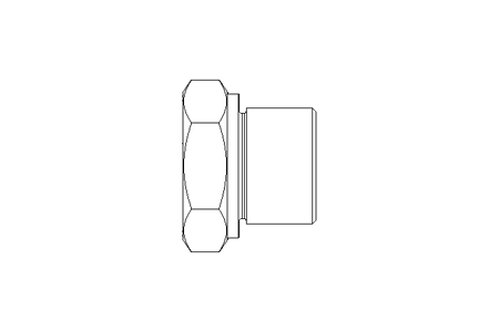 Reduzierung RI 1/2"x1/4" 1.4571