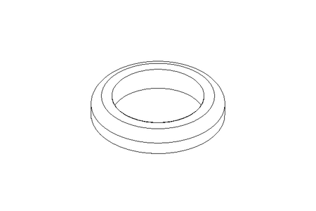 Dichtring G DN15 EPDM DIN11851