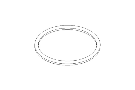 SEALING RING G 80 FPM  DIN 11851