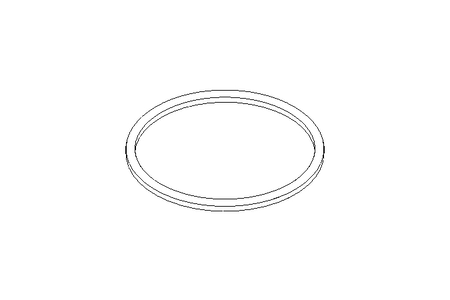 GASKET          G100 DIN 11851