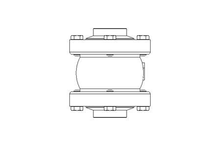 CHECK VALVE     NW40