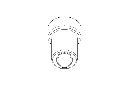 Strainer DN025 Schraegsitz 1.4404