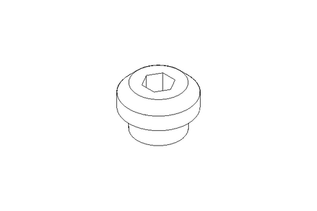 Screw plug M10x1