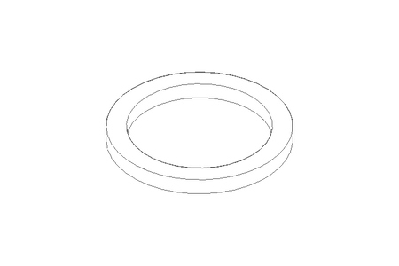 Sealing ring 17.1x21.8x2 PVC-P