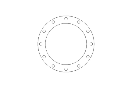 BRIDA   B300X323,9 DIN 2576 A2