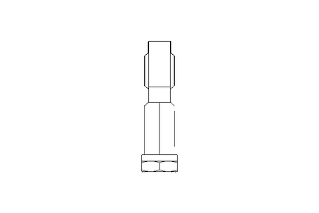 Cabeca articulada  SGS-M10X1,25