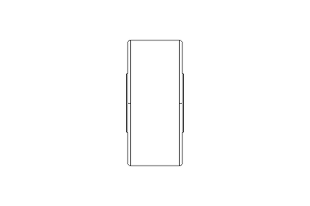 Support roller PWTR 1747-2RS-RR