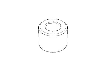 Parafuso de fechamento M10x1 A2 DIN 906