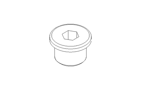 SCREW PLUG R  3/8 Z A2 DIN 908