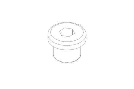 SCREW PLUG M10X1    MS DIN 908