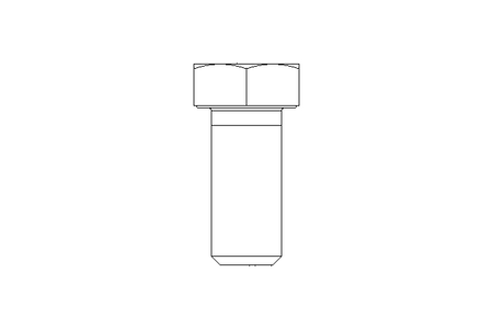 Tornillo cab. hexag. M20x45 A2 70