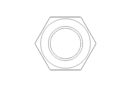 Tuerca hexagonal ciega M16 A2 DIN917