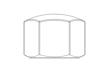 Hexagon cap nut M16 A2 DIN917