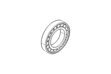 CYL. ROLLER BEARING  N216