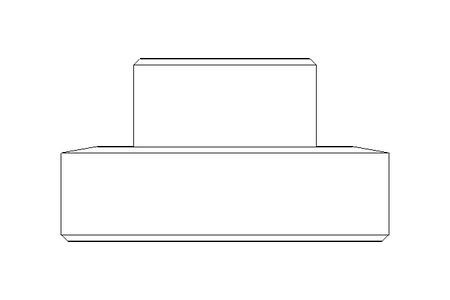 Raccord fileté SC DN25 1.4404 DIN11851