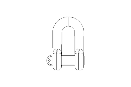 Schäkel 3 t