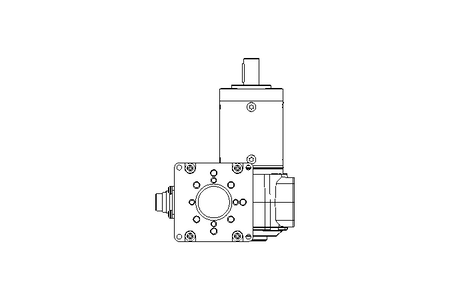 Schneckenplanetengetriebemotor 0,1kW