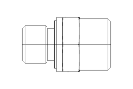 Raccordo a vite L 12 R1/4" Niro DIN2353