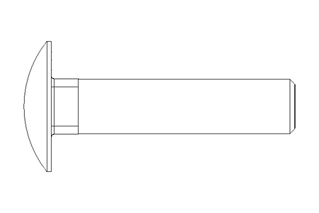 Round head screw M10x45 A2 DIN603