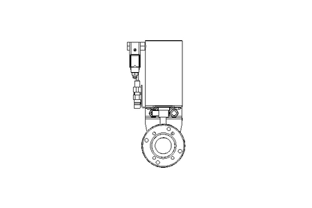 FLAP VALVE