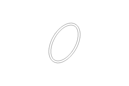 O-Ring 113,67x5,33 Fluoroprene