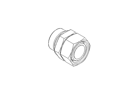 Ввинчиваемый патрубок L 35 G 1 1/4" St