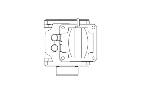 GEAR MOTOR