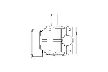 Motor engrenagem sem fim 0,75kW 20 1/min