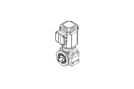 Worm gear motor 0.55kW 72 1/min