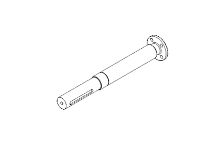 Schneckenantriebswelle kpl.