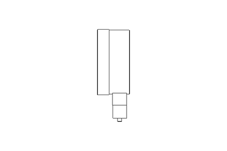 Rohrfedermanometer NG 100 (MPa)