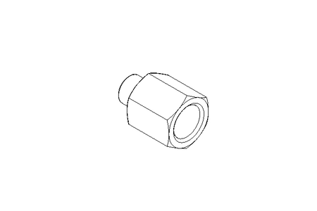 REDUZIERSTUECK 106G SW=17 PN50