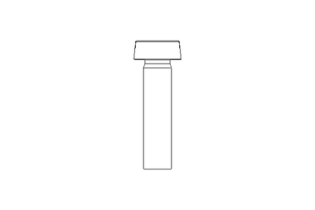 Zyl-Schraube M5x20 A2 ISO1207