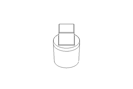 Bouchon R1/4" 1.4571 EN10241