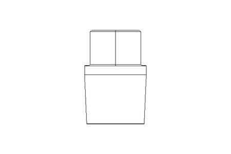 Bouchon R1/4" 1.4571 EN10241